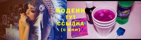 гидра Арсеньев