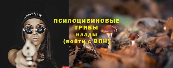 гидра Арсеньев
