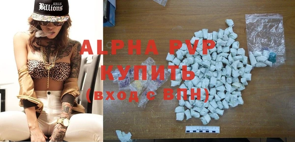 стаф Баксан
